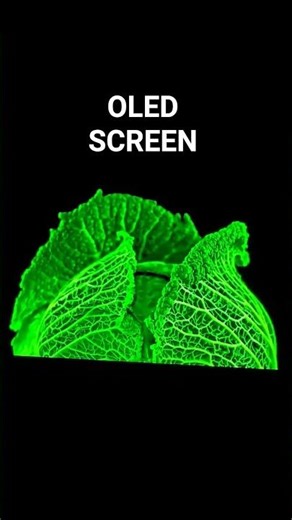 OLED vs IPS Display – Which Is Best for?