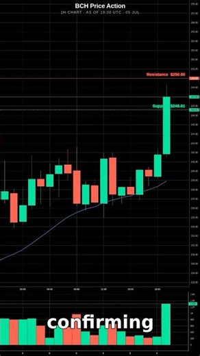 Bitcoin Cash tests a clean breakout under $250 #Shorts
