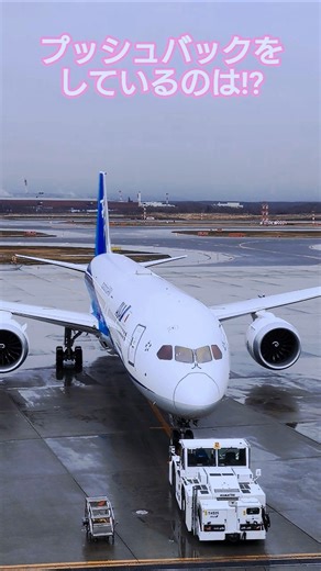【ショートグラハン動画】🥭プッシュバックをしているのは⁉羽田に向けて出発してゆく ANA Boeing787-10 Dreamliner いつもグランドハンドリングありがとうございます！