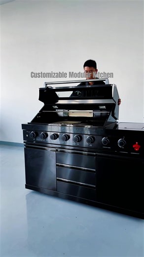 Customizable Modular Kitchen #mobilekitchen #movableoutdoorkitchen#customoutdoorkichen#outdoorliving#outdoorcooking