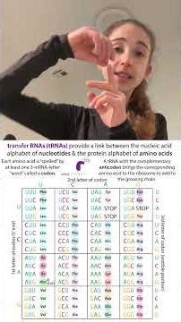 Pyrrolysine and noncanonical/unnatural amino acid incorporation: #20daysofaminoacids 2025 Day 22!!