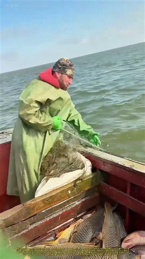 網を上げて獲り込む：水面に張った網を引き揚げ、銀色の魚を船へと収める、漁の一手とは