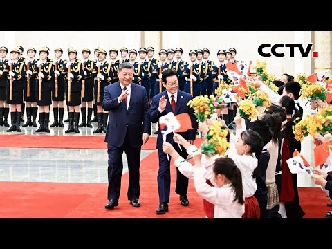 习近平：中韩应当坚定站在历史正确一边 作出正确战略选择 | CCTV