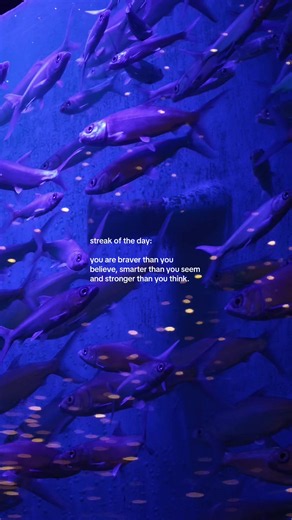 Streak of the Day: You Are Braver Than You Believe Quote