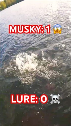 FIRST MUSKY OF THE SEASON DESTROYS MY BAIT 😱🔥#fishing #muskyfishing #musky #muskie #esox #outdoors