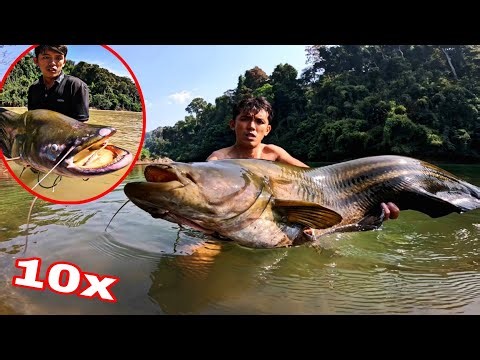 THUỶ QUÁI CỦA RỪNG ? Tóm Gọn Loài Cá Có Hàm Răng Kiếp Sợ Nhất Rừng Mưa | Kết thúc Chuyến Săn