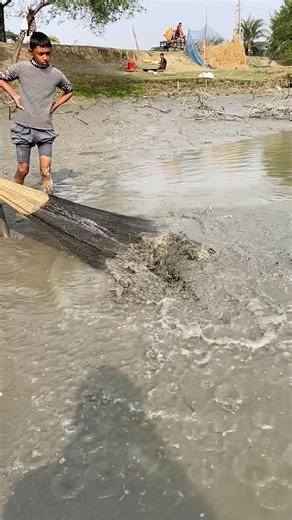 big fish catching by casnet fishing time #reels #fishing #Amazing #fishinglife #bigfish #CastNetFishing | Natural Fishing BD