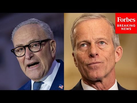 'Democrat Leader Can Spread All The Disinformation He Wants': Thune Rips Schumer Over Healthcare