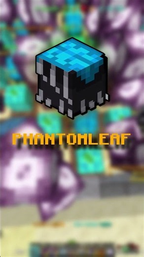 You can make $100.000.000 COINS While AFK | Hypixel Skyblock