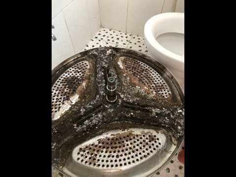 Inside a Toshiba Washer FULL of Dirt – Shocking Deep Clean!