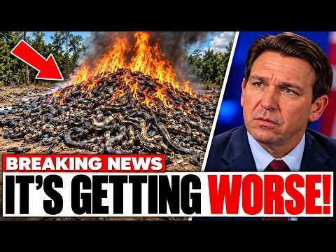 Florida’s Python Massacre Took a SHOCKING Turn — The Footage Says It All