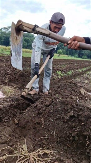 Simple creative tools for cultivating agricultural land -farming #shorts