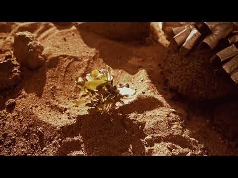 Alien Life Found?