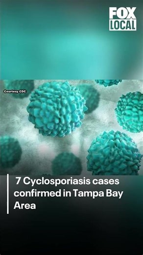 Cyclosporiasis parasite: Bay Area sees 7 cases #florida #news
