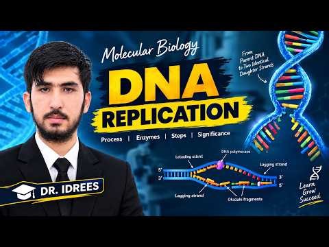 DNA replication,steps by step and helicase enzyme etc