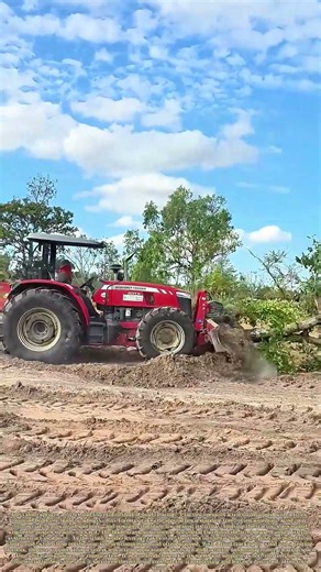 Pushing the Tree: How a Blade Overtakes a Vertical Life