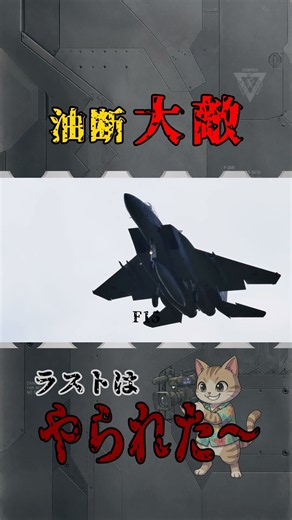 ラストはやられた～油断大敵！ #新田原基地 #f15