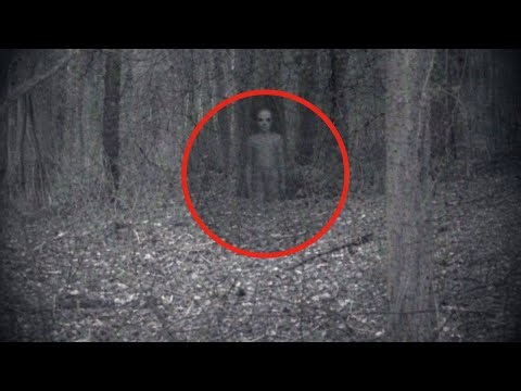 Nights We Were Terrified || Full Episodes (DO NOT WATCH ALONE)