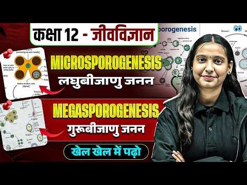 Microsporogenesis & Megasporogenesis Explained | Reproduction in Flowering Plants | Class 12 Biology