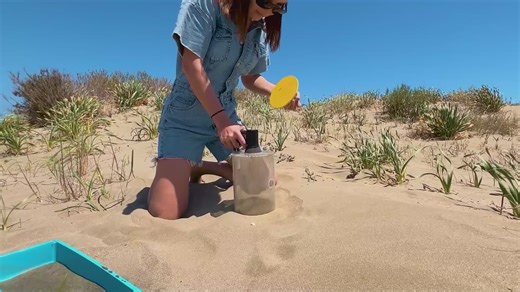 Forged from the Sand: A Stunning Metal Creation | 5-Minute Crafts Family