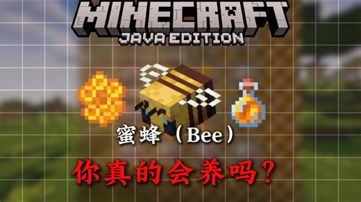 5分钟带你了解MC蜜蜂方面的相关知识！！