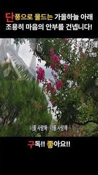 최백호_너를사랑해