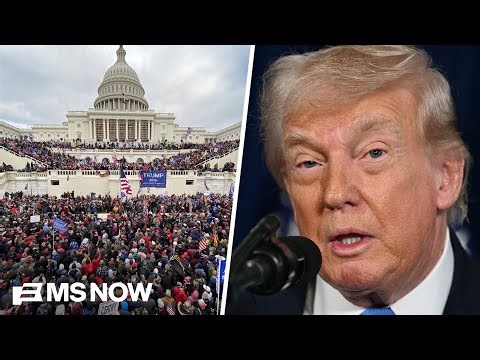 'Trump admin has replaced the rule of law': Officer who defended Capitol on Jan. 6