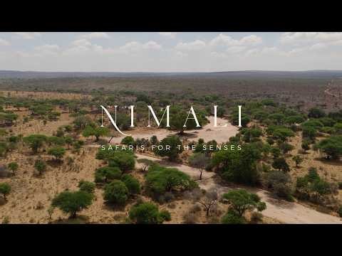 Nimali Tarangire Live Camera Launch
