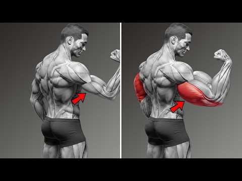 5 Proven Triceps Workouts for Rapid Size Gains