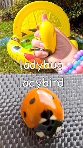 Bug Insect Names for Kids to Learn: Earthworm Scarab Beetle Ladybug Dragonfly #HolidaysWithYouTube