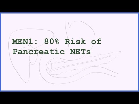 MEN1 Syndrome and Pancreatic NETs: When Genetics Changes Everything About Your Risk