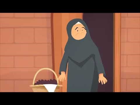 2D Motion Graphics | Animation Showcase