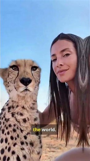 Unbelievable Speed: How Cheetahs Run So Fast! 🐆 #Cheetah #WildlifeFacts