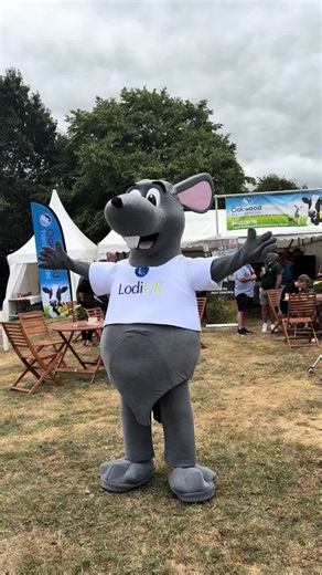 Guess who’s back? 🐭✨ Meet Razzle — the face (and whiskers) of the Lodi brand. Let me re-introduce myself....Back by popular demand... Razzle has entered the chat. 🐀⚡ Will the real Razzle please stand up? 🐭 Rodent season is calling. #MeetRazzle #RodentSeason #Frontman #BrandAmbassador #MischiefMaker