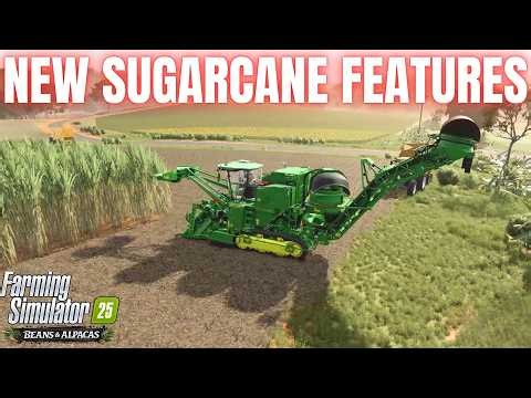 NEW SUGARCANE FEATURES - Beans & Alpacas - Farming Simulator 25