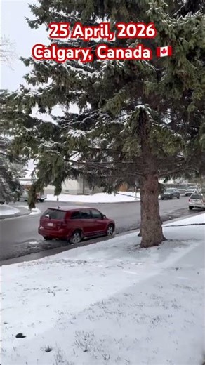 Snowfall at the end of April… only iCalgary 🇨🇦❄️#canada