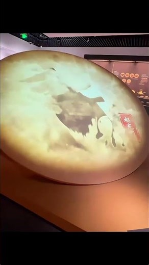 Immersive Interactive Projection Installation | Real-Time Visual Experience