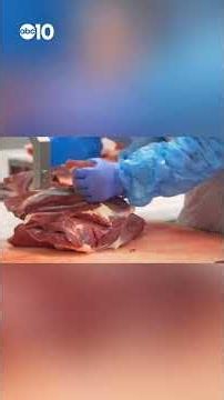 Report: USDA plans funding for small meatpacking plants