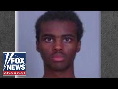 'LONE WOLF': Expert SOUNDS ALARM after thwarted plot