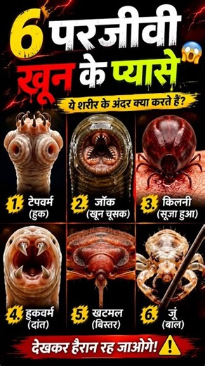 6 परजीवी खून के प्यासे 😱😱👈 #organisms #bacteria #insects #viral #amazingfacts #facts