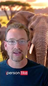 How Genesis and the Pentateuch were REALLY written