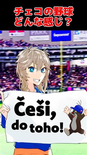 【チェコ】チェコ野球ってどんな感じ？ #チェコ #野球