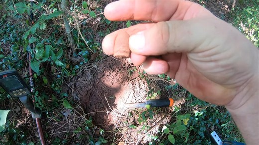 They Metal Detected A Lost Road Where Soldiers Passed And Found Bullets Still In The Dirt