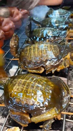 Roasted Soft Shell Turtle: The Ultimate Ancient Chinese Delicacy | Home Kitchen China