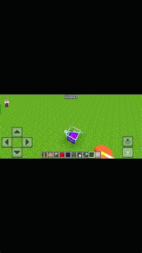 Tested this Viral TikTok Minecraft Hack... 😱#shorts #viral