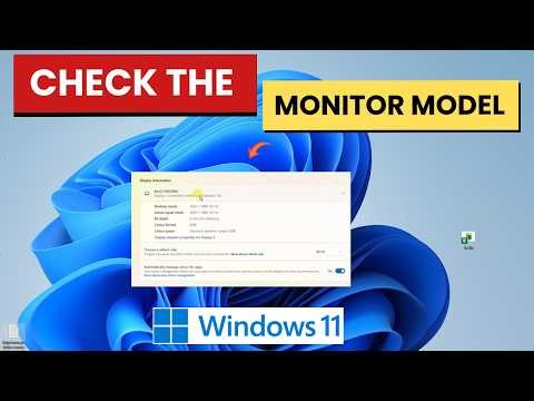 How to Check the Monitor Model in Windows 11 - Full Guide