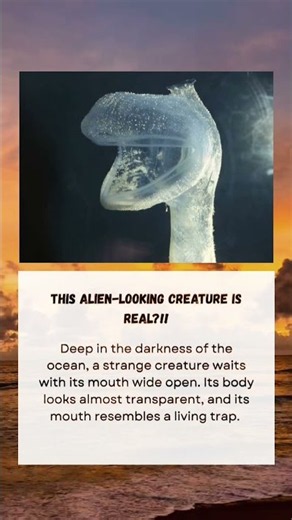 Scientists Discovered a REAL-LIFE Alien Hiding 3,000 Meters Under the Ocean!#shorts