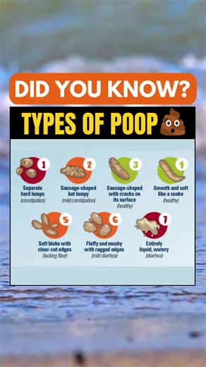Different Types of Poop and Their Meanings