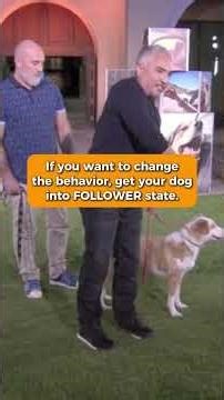 Take-home Tip: End Chasing Fast