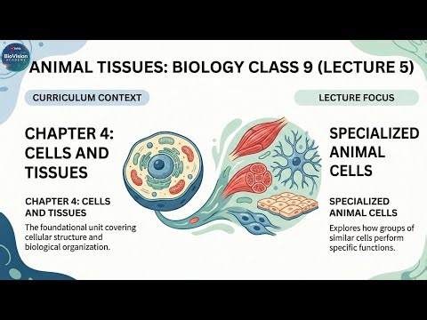 Lecture 5 – Tissues in Animals9th Class Biology | Chapter 4 – Cells and Tissues